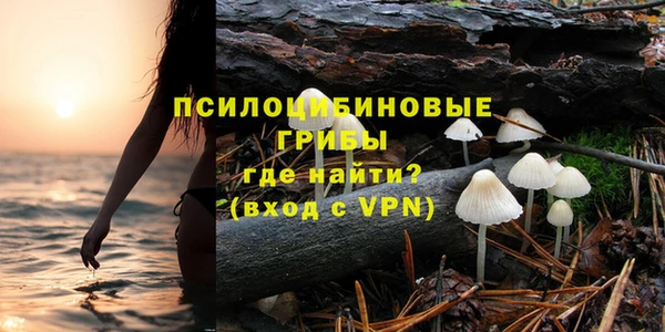спиды Нея
