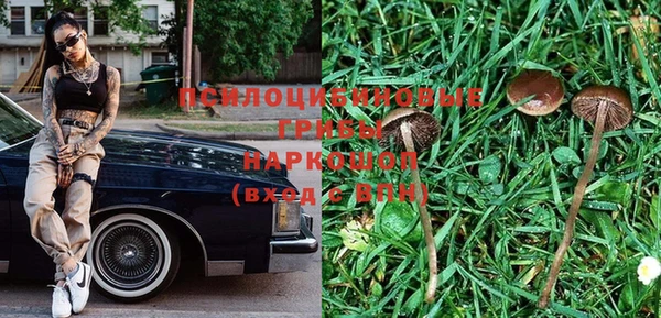 спиды Нея