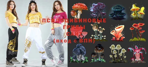 2c-b Нефтекумск