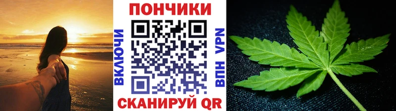 Бошки Шишки сатива мега ссылки Ветлуга где можно купить